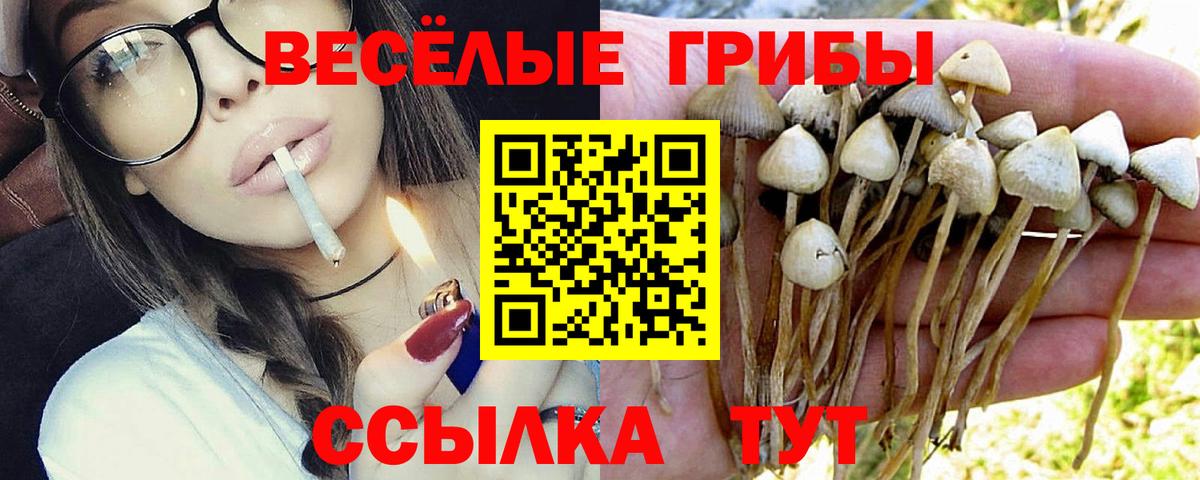 Галлюциногенные грибы Cubensis Котельники
